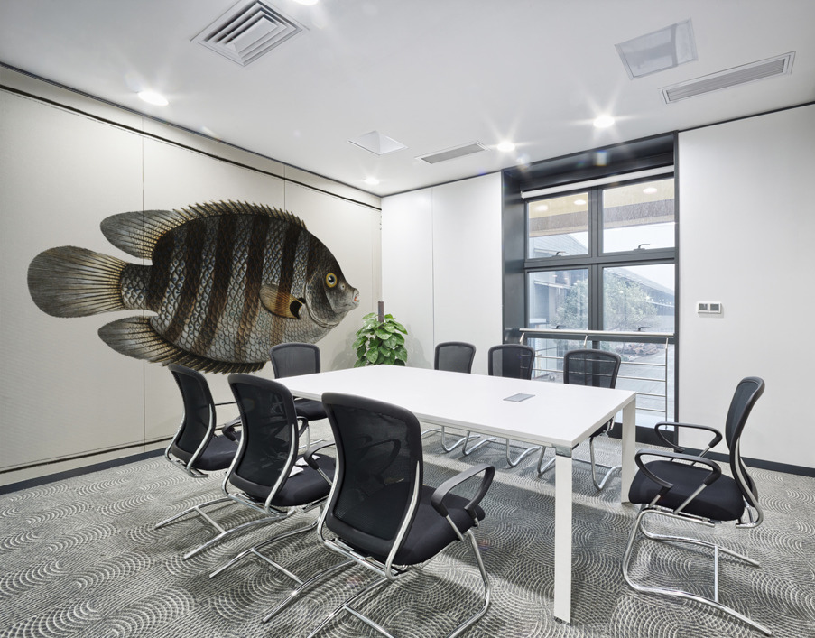 Chaetodon suratensis Wall Printing