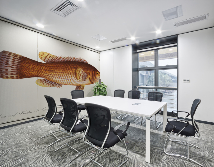 Maculated Wrasse Labrus maculatus Wall Printing