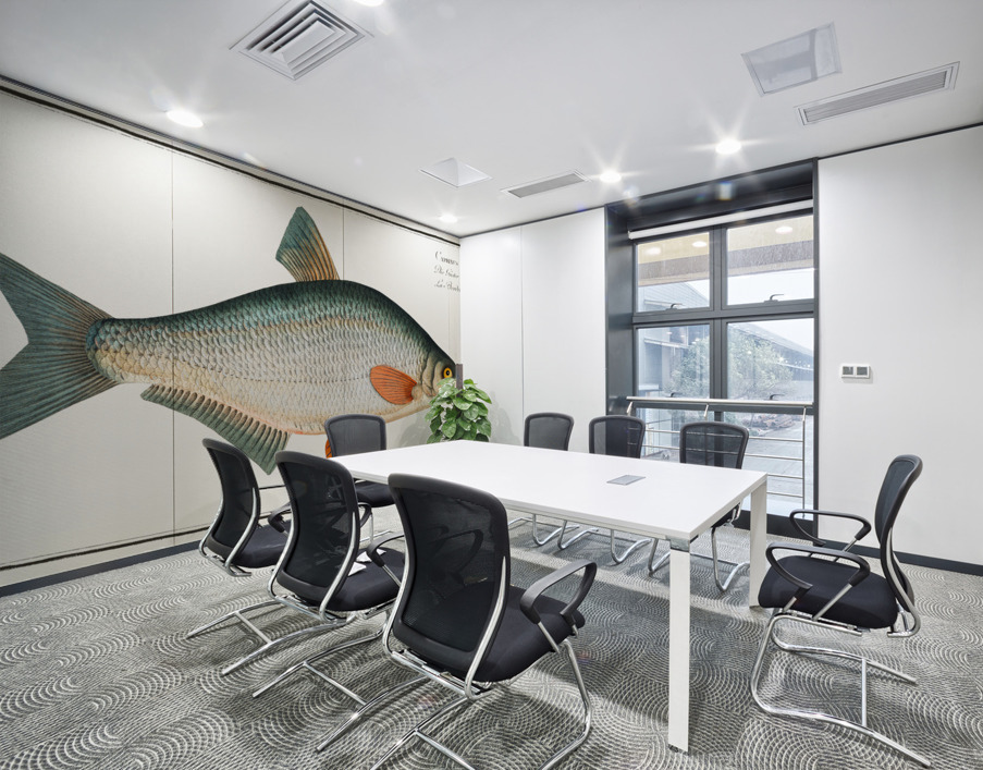 Blicca Cyprinus Blicca Wall Printing