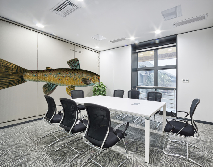 Trout Salmo Fario Wall Printing