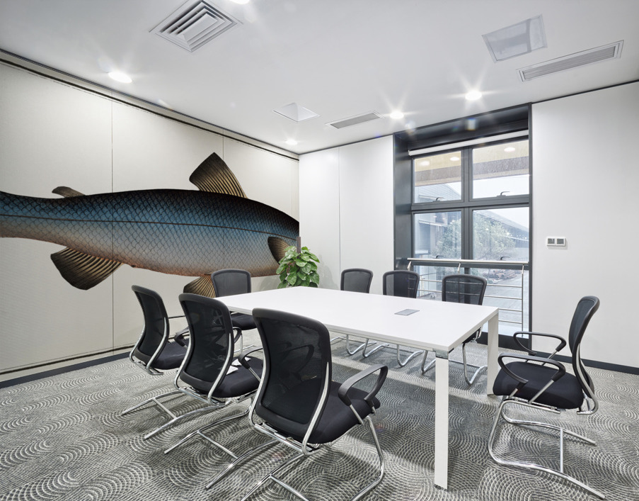 Plumiers Umber Sciaena Plümieri Wall Printing