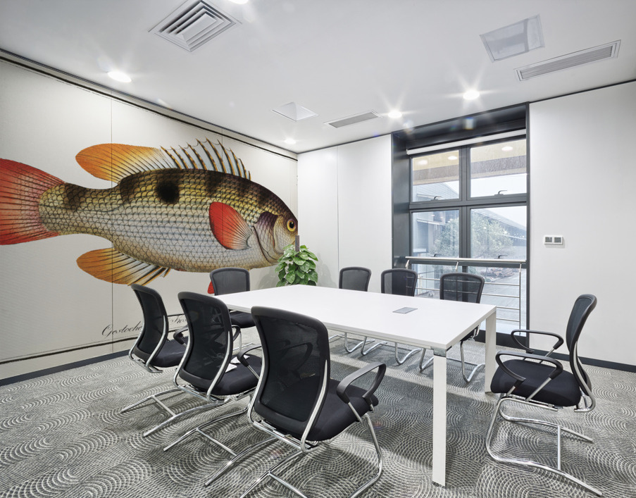 Johns Grunt Anthias Johnii Wall Printing