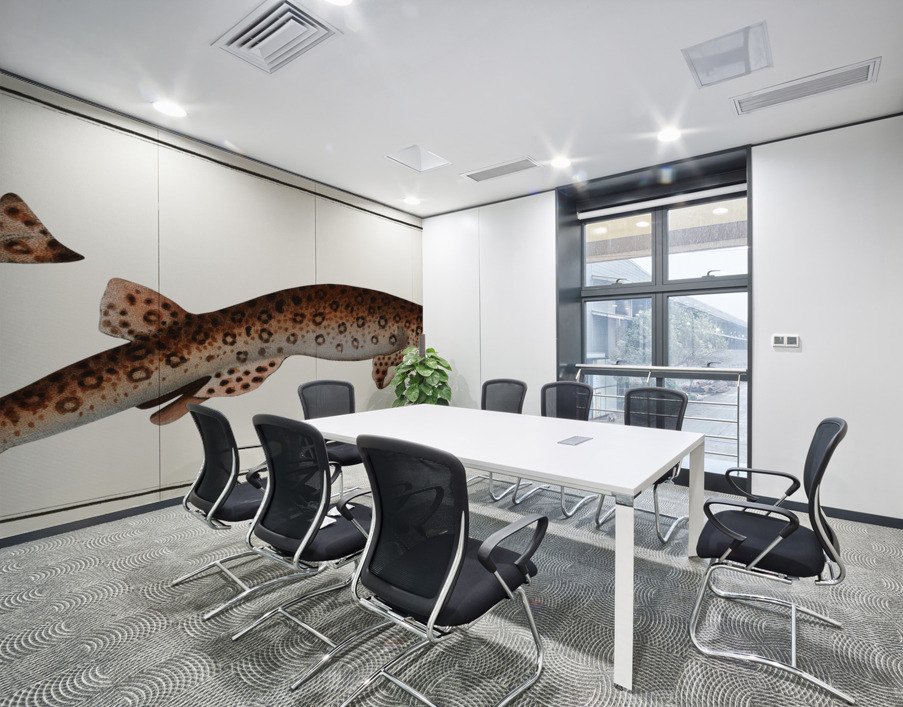 Bounce Squalus Canicula Wall Printing