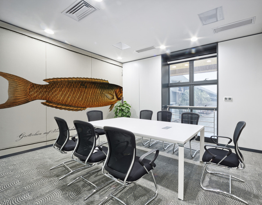 Green Wrasse Labrus viridis Wall Printing