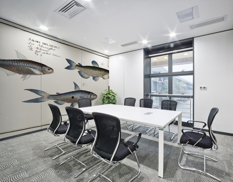 1. Capelan Salmo groenlandicus 2. Tail-spotted Salmon Salmo melanurus 3. Curimate Salmo unimaculatus Wall Printing