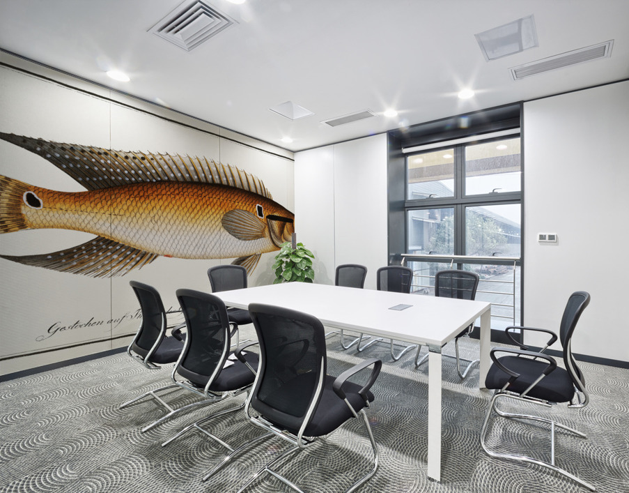 Stone-Perch Perca saxatilis Wall Printing