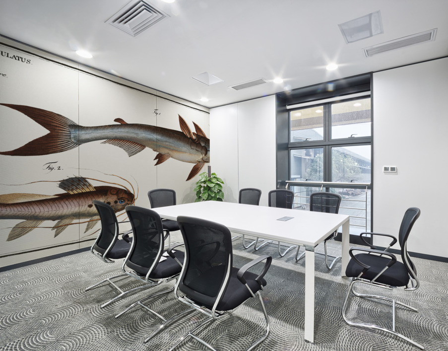 1. Knotty Silure Silurus Nodosus 2. Four spotted Silure Silurus Quadrimaculatus Wall Printing