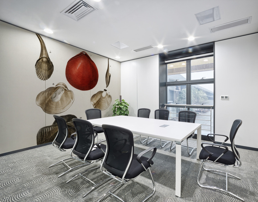 Different types of mollusks Wall Printing