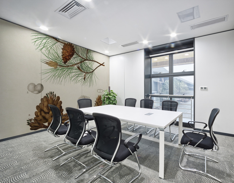 Martime pine Pinus maritima Wall Printing