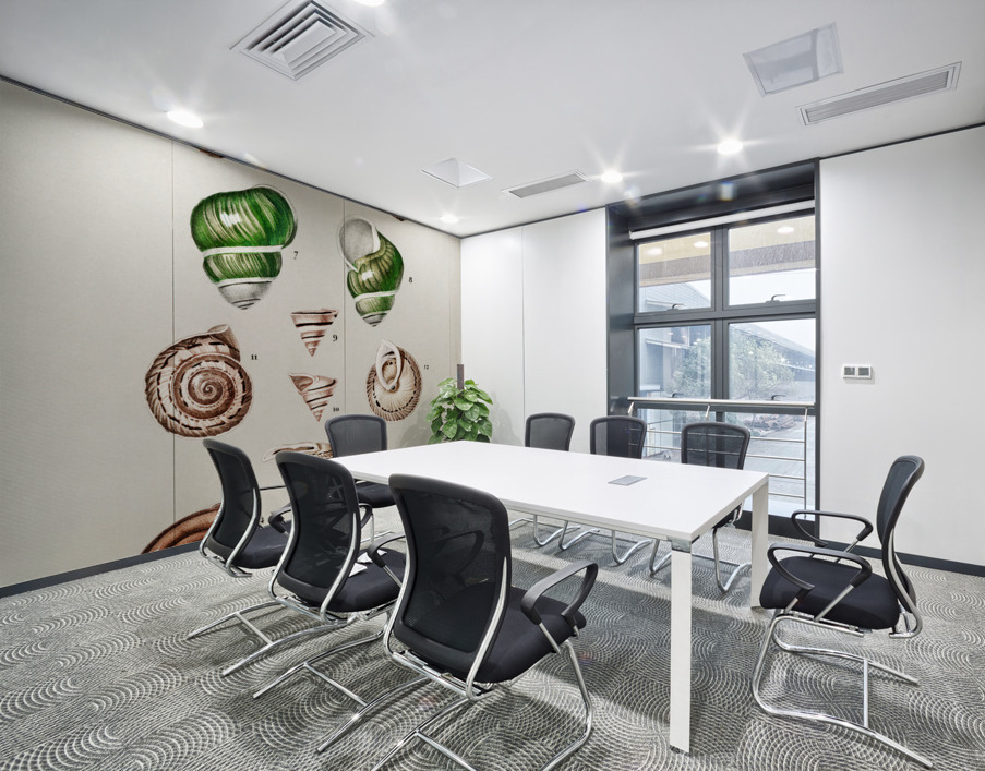 Different types of mollusks Wall Printing