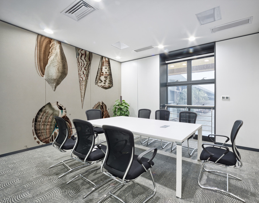 Different types of mollusks Wall Printing