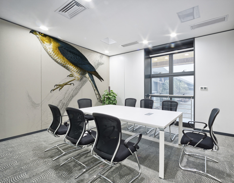 Eurasian sparrowhawk Accipiter nisus Wall Printing