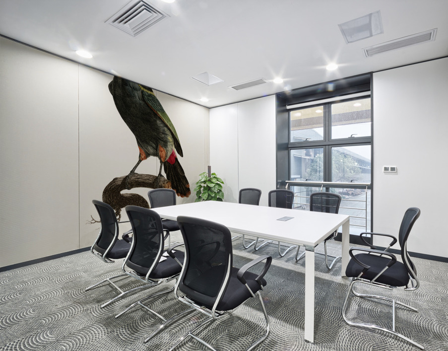 Black-necked Aracari  Wall Printing