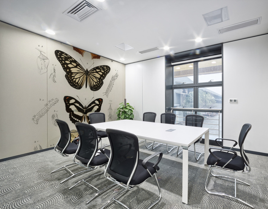 Collection of butterflies Wall Printing