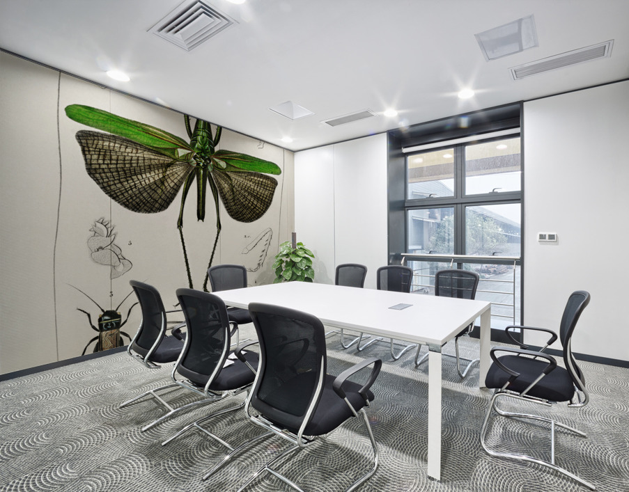 Blue Jay  Wall Printing