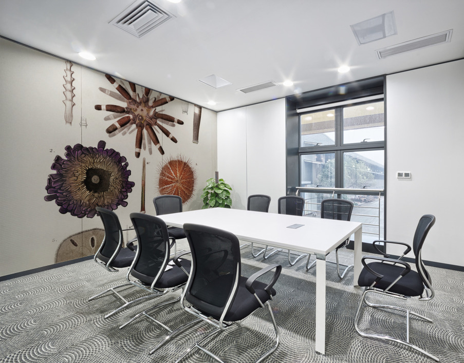 Different types of sea urcnhins Wall Printing