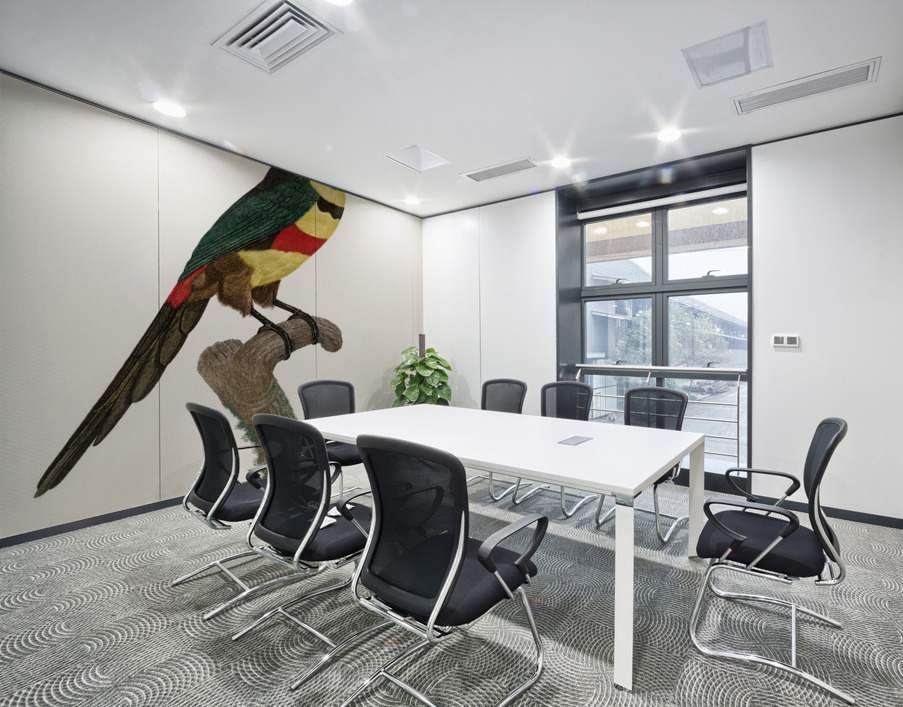 Black-necked Aracari  Wall Printing