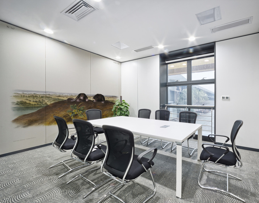 Star-nose Mole Condylura cristata  Wall Printing