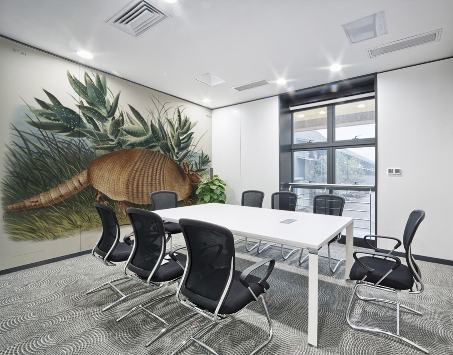 Nine-banded Armadillo Dasypus Peba  Wall Printing