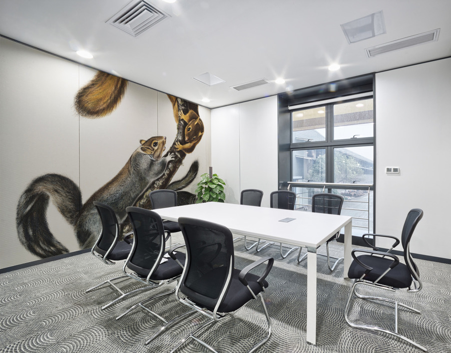 Cat Squirrel Sciurus cinereus  Wall Printing