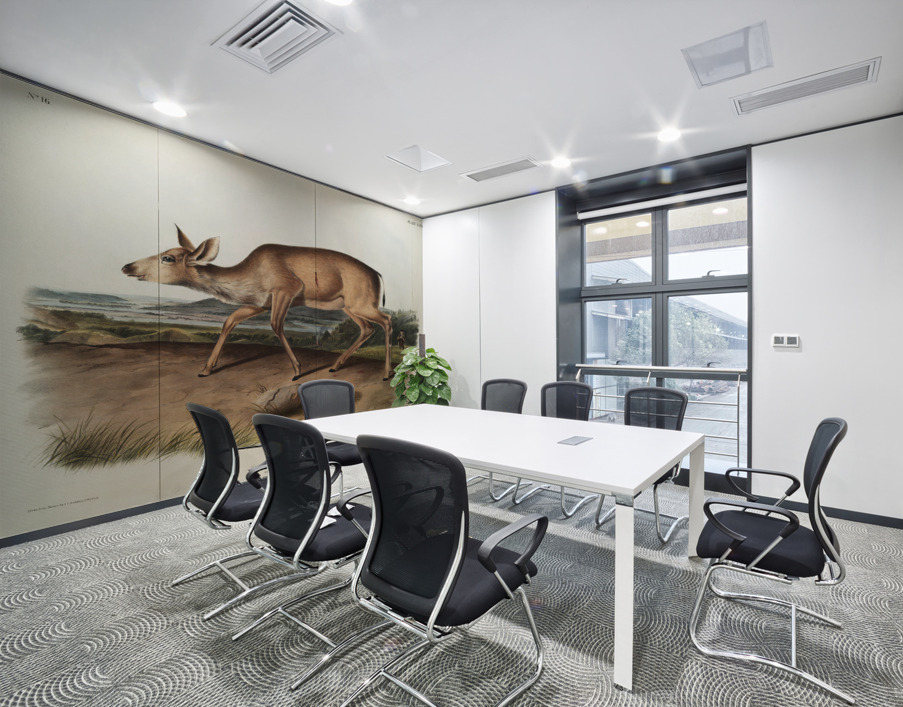 Black-tailed Deer Cervus macrotis  Wall Printing