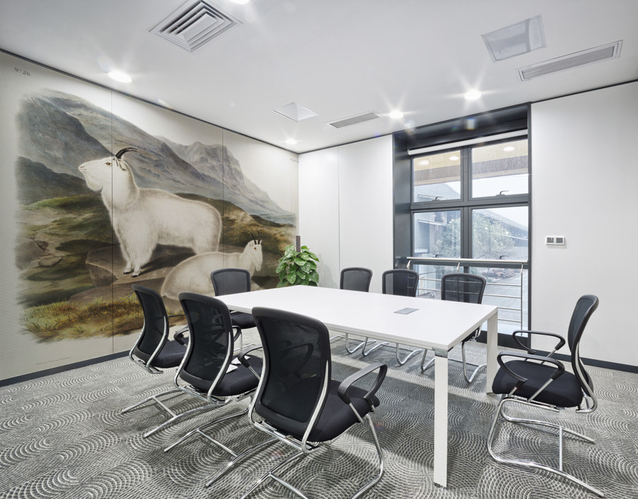 Tawny Weasel Putorius fuscus  Wall Printing