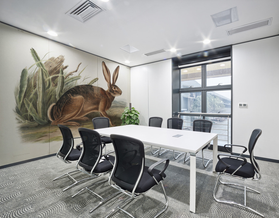 Californian Hare Lepus californicus  Wall Printing