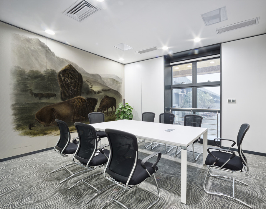 Californian Hare Lepus californicus  Wall Printing