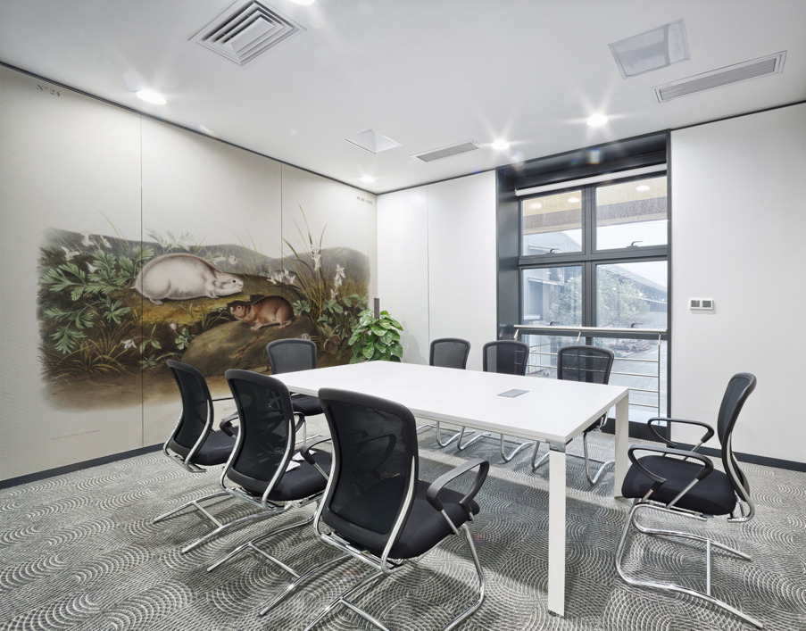 Hudson Bay Lemming Myodes Hudsonius  Wall Printing