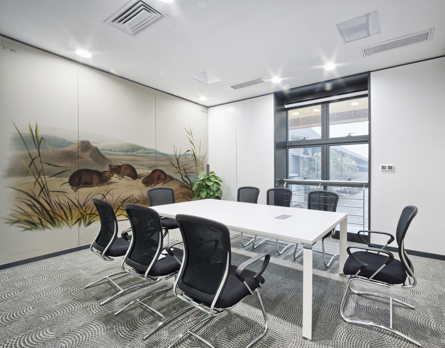 Northern Meadow-Mouse Arvicola borealis  Wall Printing