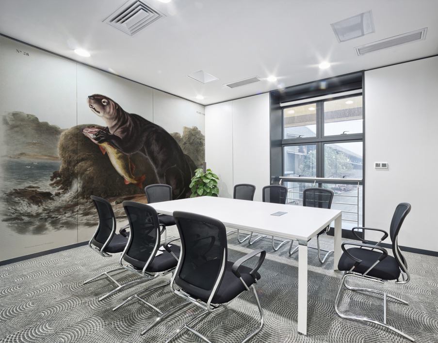 Sea Otter Enhydra marina  Wall Printing