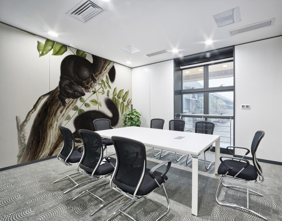 Meadow Mouse Arvicola richardsonii  Wall Printing