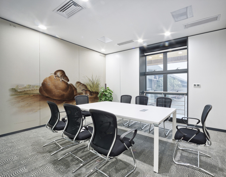 Lecontes Pine Mouse Arvocola pinetorum  Wall Printing