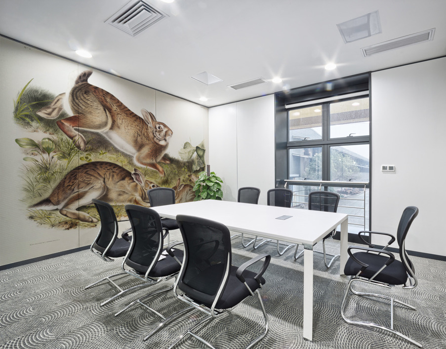 Grey Rabbit Lepus Sylvaticus  Wall Printing