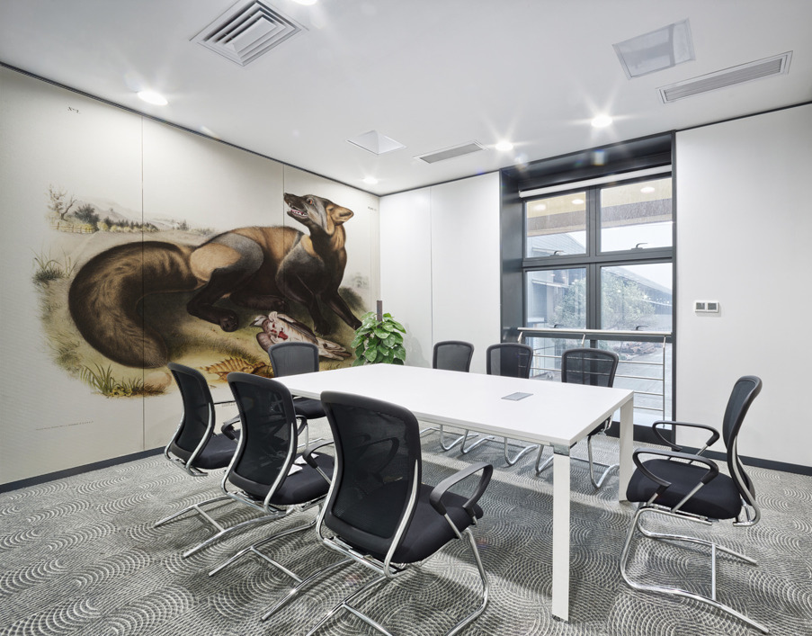 American Cross-Fox Canis vulpes  Wall Printing