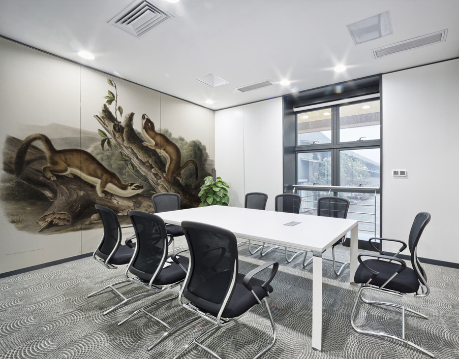 Bridled Weasel Putorius frenata  Wall Printing