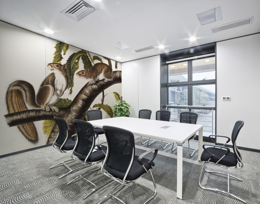 Carolina Grey Squirrel Sciurus Carolinensis  Wall Printing