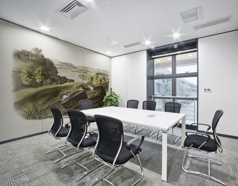 White-footed Mouse Mus leucopus  Wall Printing