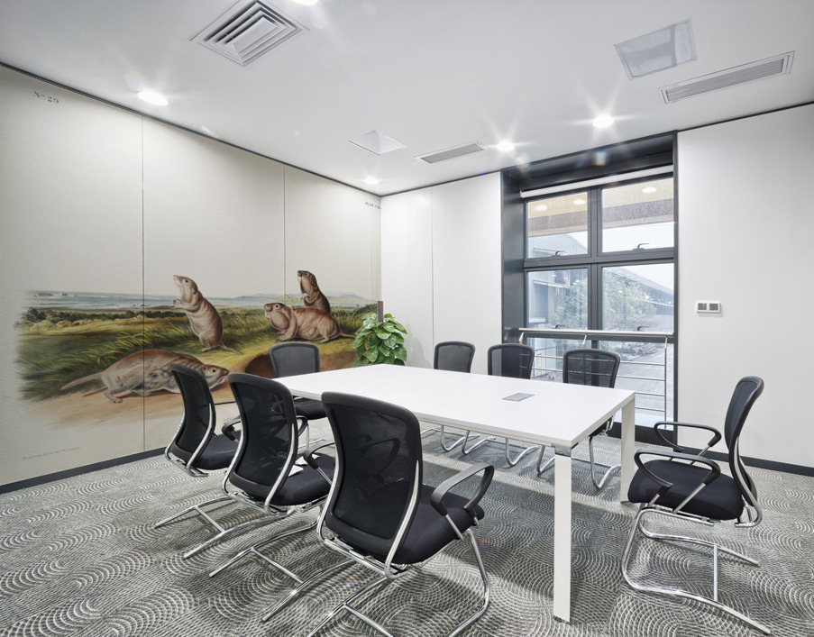 Camas Rat Pseudostoma Borealis  Wall Printing