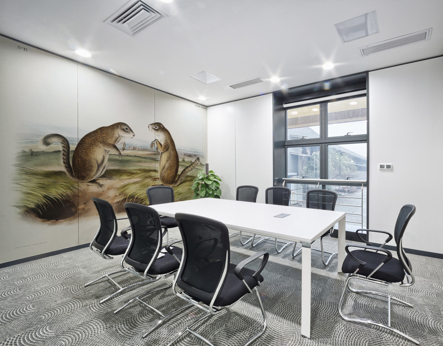 Marmot Squirrel Spermophilus Franklinii  Wall Printing