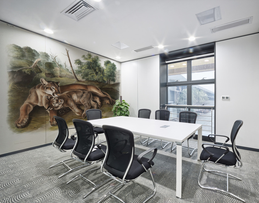 Cougar Felis concolor  Wall Printing