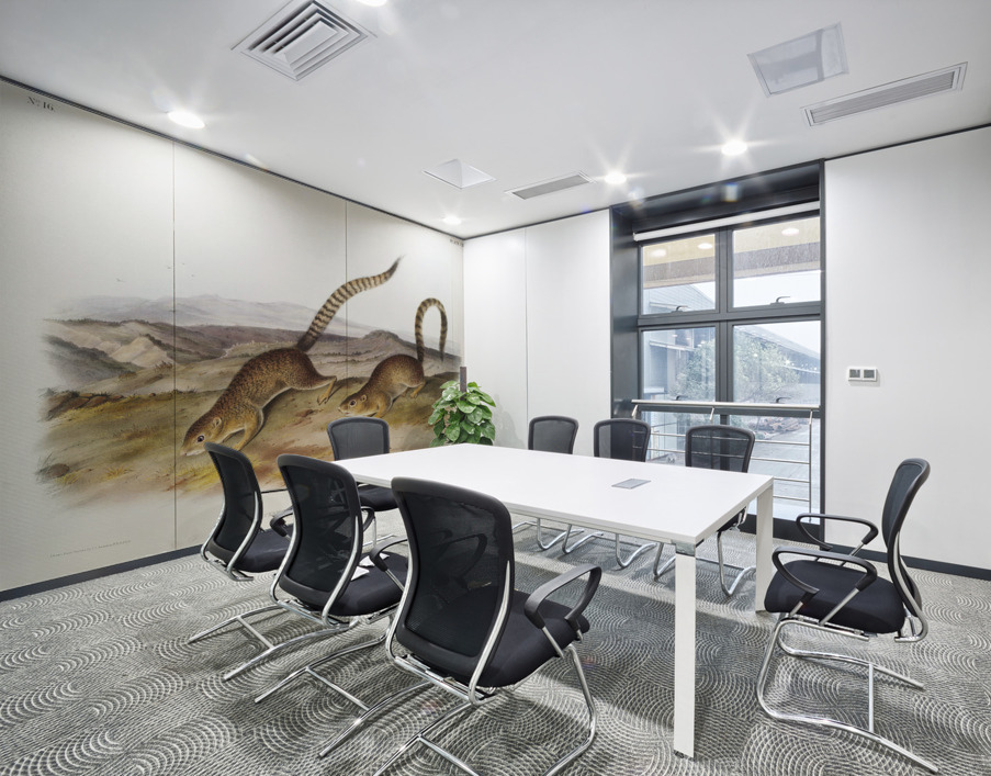 Annulated Marmot Squirrel Spermophilus annulatus  Wall Printing