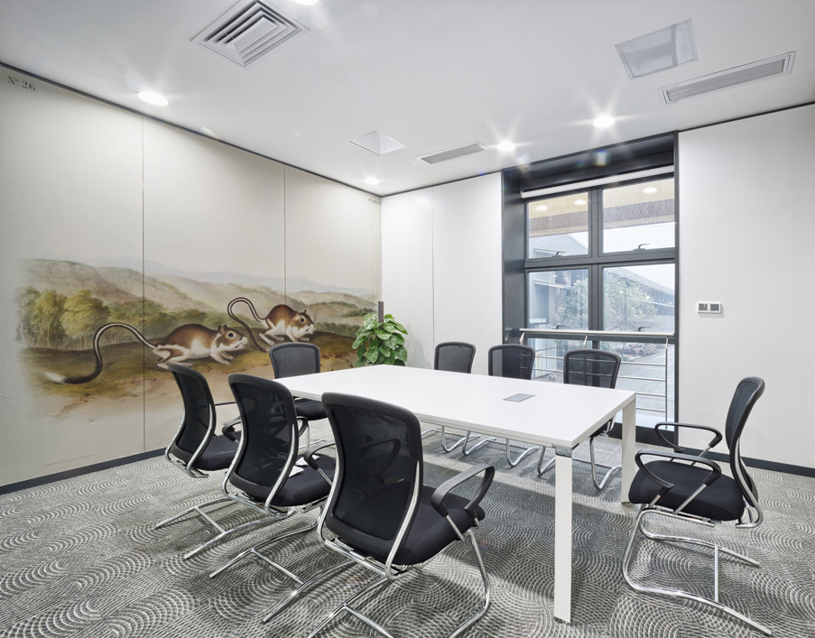 Pouched Jerboa Mouse Dipodomys Phillipsii  Wall Printing