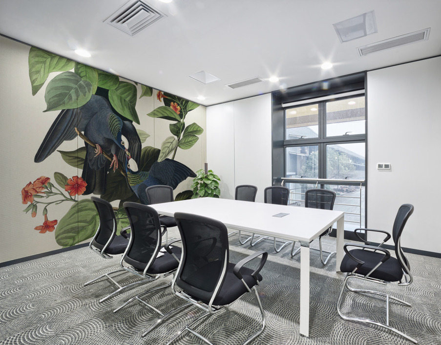 White-crowned Pigeon Wall Printing