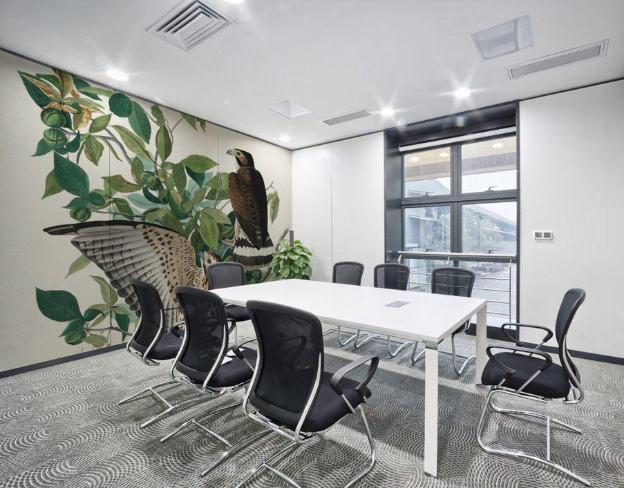 Broad-winged Hawk Wall Printing