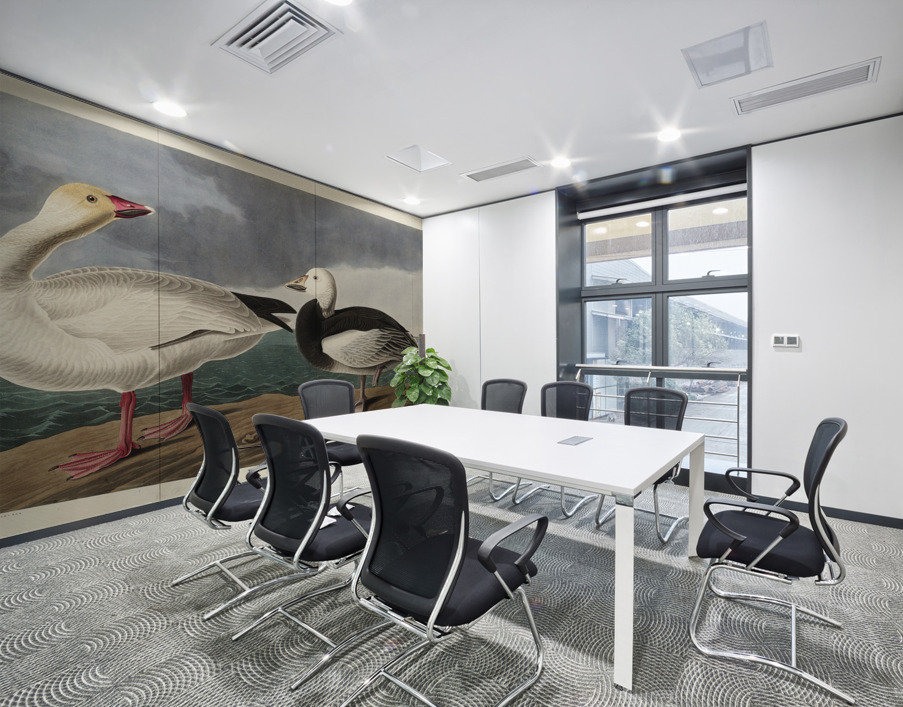 Black or Surf Duck Wall Printing