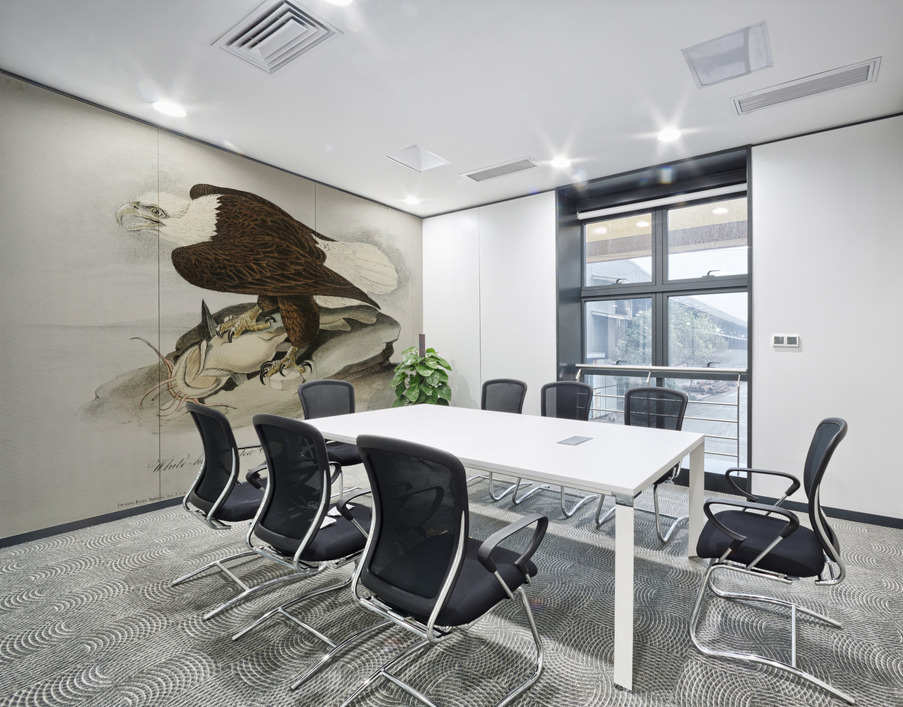 White Headed Sea Eagle or Bald Eagle Wall Printing