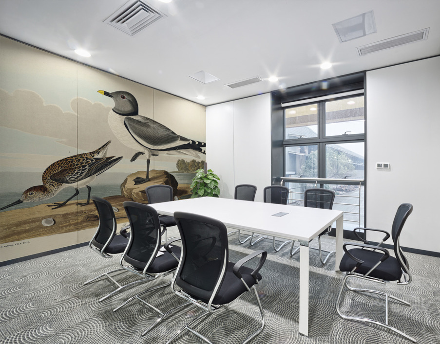 Fork-tailed Gull Wall Printing