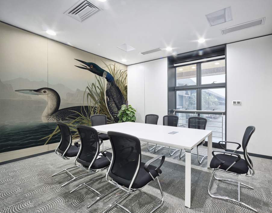 Great Northern Diver or Loon Wall Printing