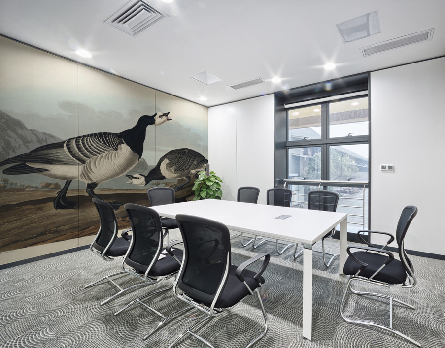 Barnacle Goose Wall Printing